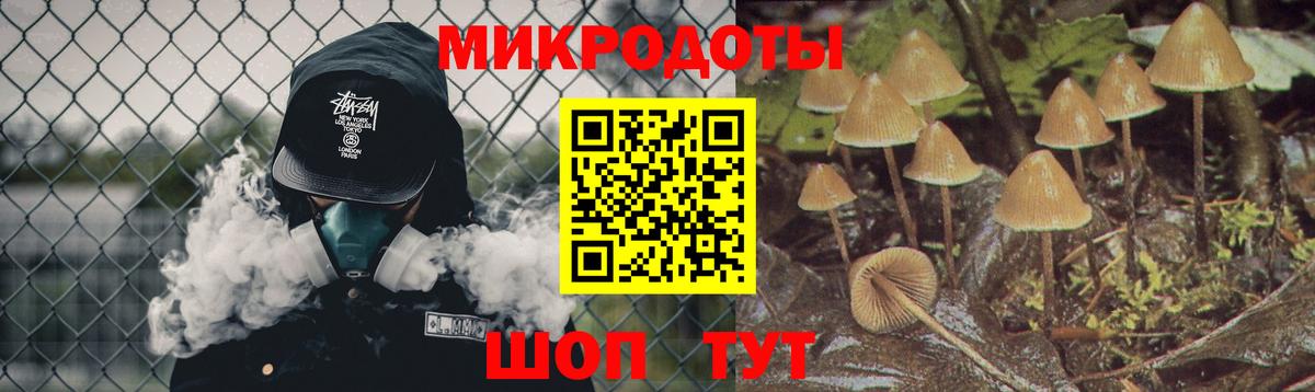 Унеча  Псилоцибиновые грибы прущие грибы  Галлюциногенные грибы Magic Shrooms  Вход с VPN 